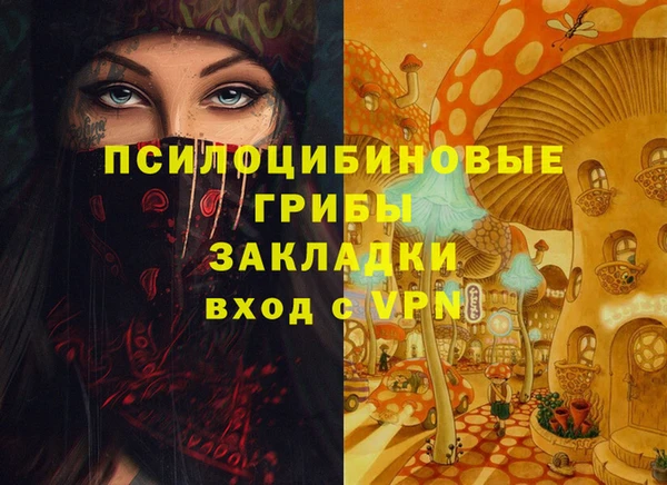 дурь Абаза