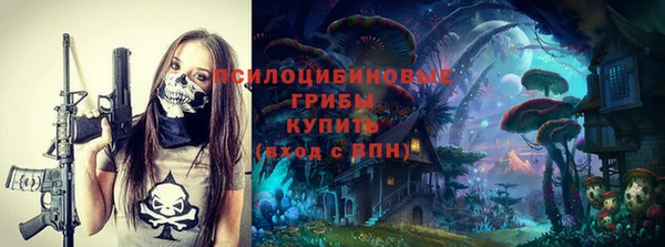 тгк Абинск