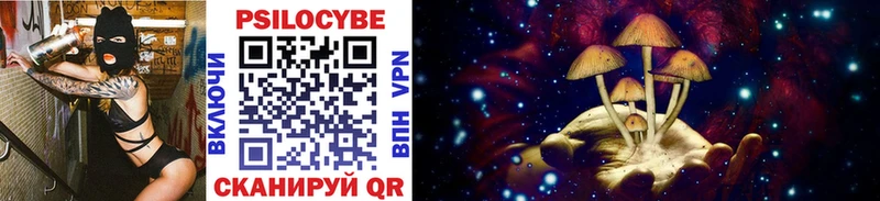 Псилоцибиновые грибы Cubensis где найти наркотики Красновишерск